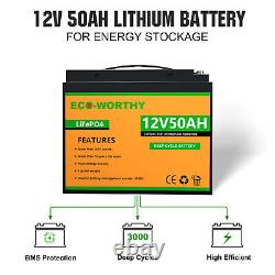 ECO 600w Watt Solar Panel Kit LiFePO 4 Battery Inverter Off grid Boat RV Solar