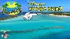 Castaway Cay Disney S L'île Privée Aux Bahamas Whips Spéciaux De Dole U0026 Plages De Sable Blanc